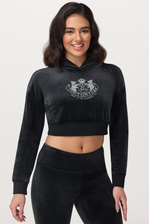 Cropped Scottie Hoodie